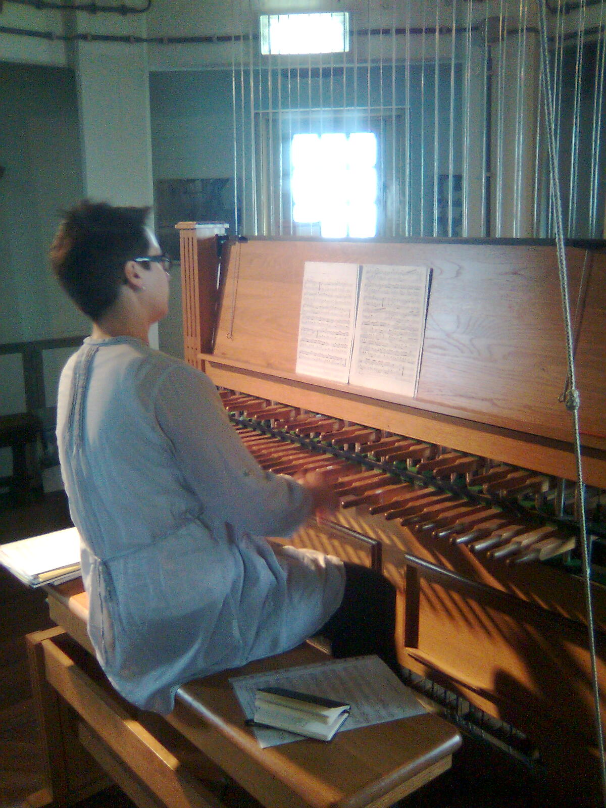 Organist Carillon