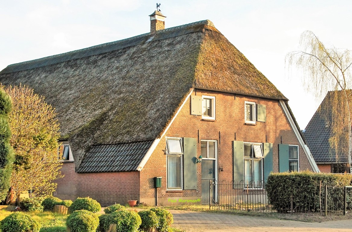 DSC 0038 6 edited naam 1024x158 smal hoogte